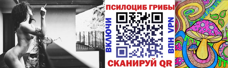 Купить где  Рыбинск  Галлюциногенные грибы Psilocybe 